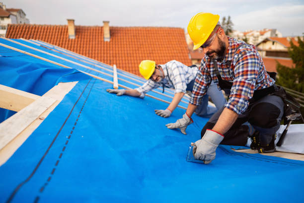 Best Roof Maintenance Services  in Leesville, LA