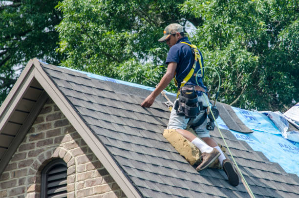 Best Roof Waterproofing Services  in Leesville, LA